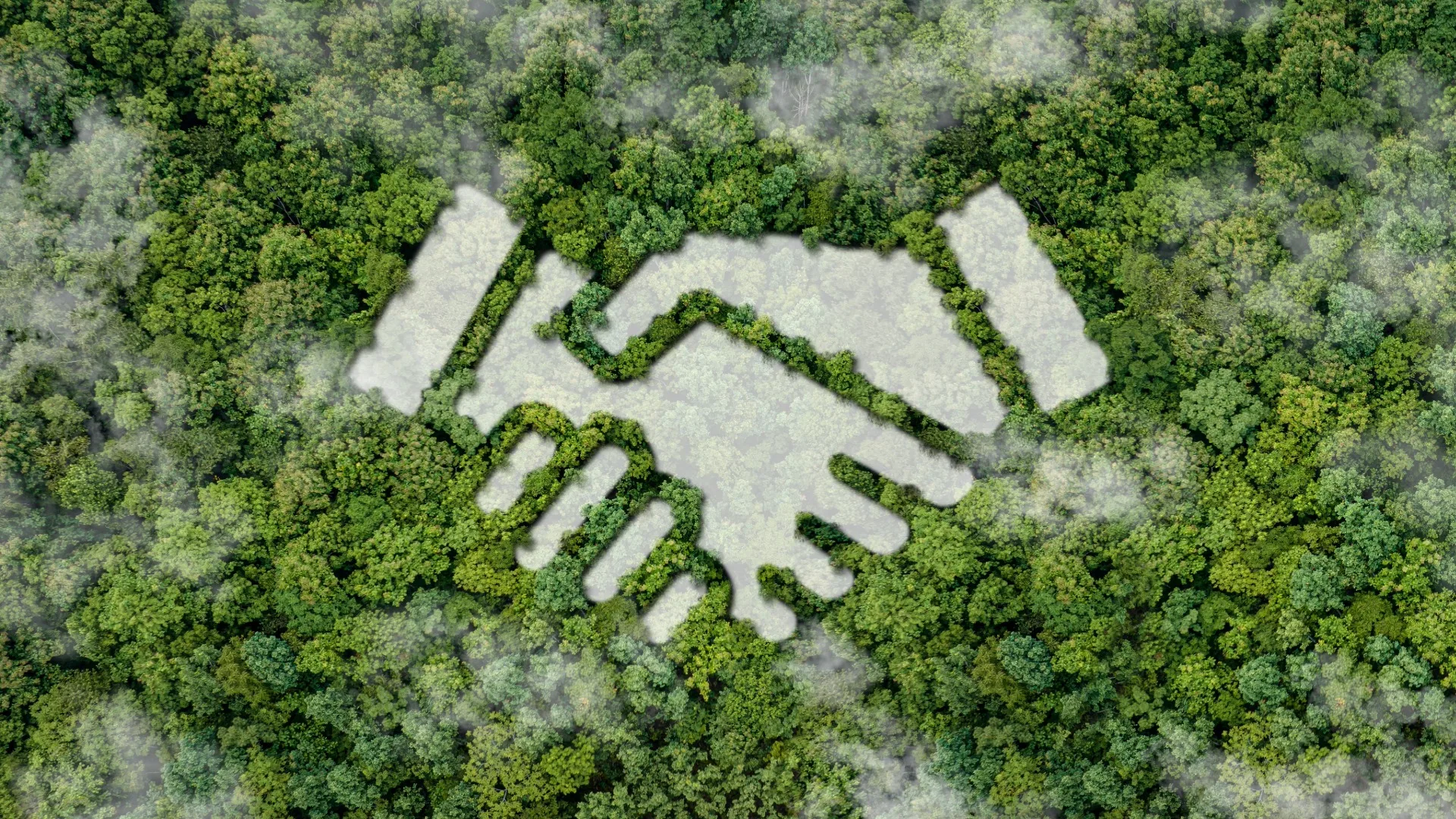 ISO 14001:2015 certified. Here’s what that actually means for our clients